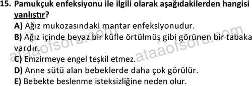 ata cocukgelisimlisans 1444 15