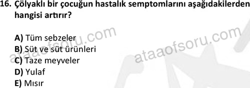 ata cocukgelisimlisans 1444 16