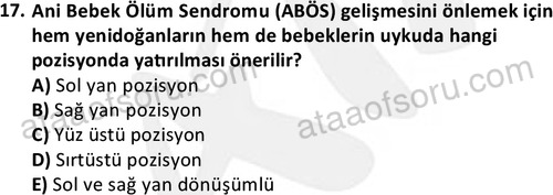 ata cocukgelisimlisans 1444 17