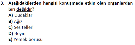 ata cocukgelisimlisans 1447 3