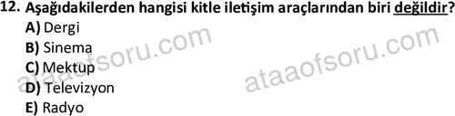 ata cocukgelisimlisans 1447 12