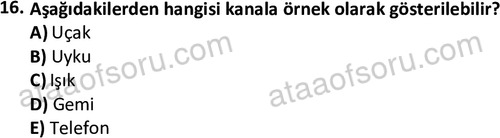 ata cocukgelisimlisans 1447 16