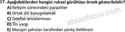 ata cocukgelisimlisans 1447 17