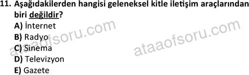 ata cocukgelisimlisans 1447 11