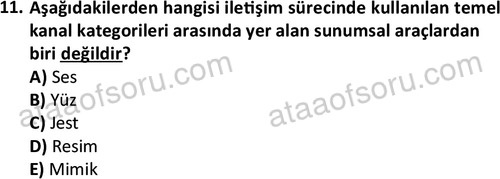 ata cocukgelisimlisans 1447 11