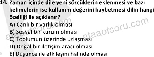 ata cocukgelisimlisans 1447 14