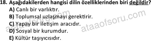 ata cocukgelisimlisans 1447 18