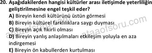 ata cocukgelisimlisans 1447 20
