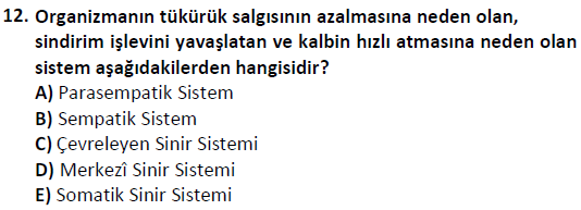 ata cocukgelisimlisans 1446 12