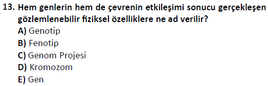 ata cocukgelisimlisans 1446 13