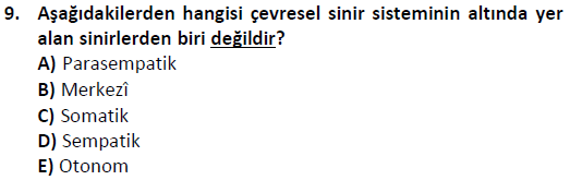 ata cocukgelisimlisans 1446 9