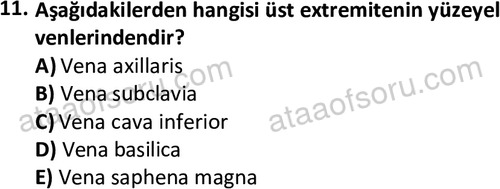 ata cocukgelisimlisans 1445 11