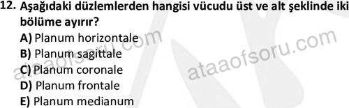 ata cocukgelisimlisans 1445 12