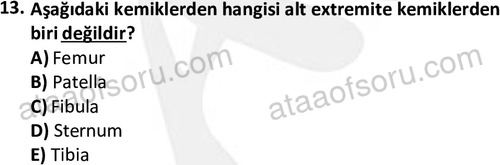 ata cocukgelisimlisans 1445 13