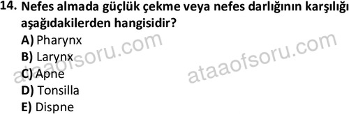 ata cocukgelisimlisans 1445 14