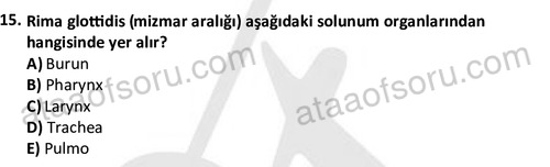 ata cocukgelisimlisans 1445 15