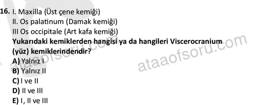 ata cocukgelisimlisans 1445 16