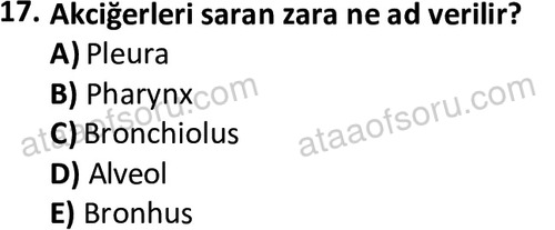 ata cocukgelisimlisans 1445 17