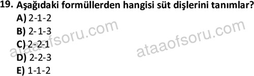 ata cocukgelisimlisans 1445 19