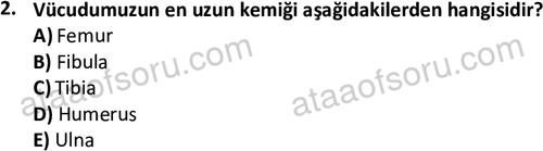 ata cocukgelisimlisans 1445 2
