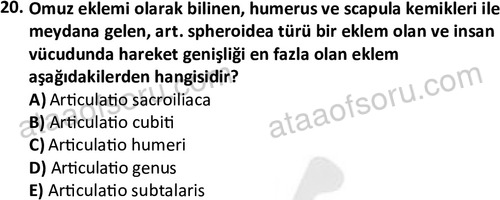 ata cocukgelisimlisans 1445 20