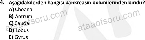 ata cocukgelisimlisans 1445 4