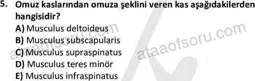 ata cocukgelisimlisans 1445 5