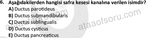 ata cocukgelisimlisans 1445 6