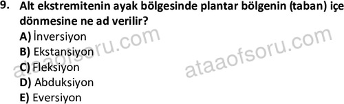ata cocukgelisimlisans 1445 9