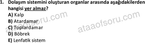 ata cocukgelisimlisans 1445 1