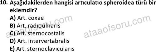 ata cocukgelisimlisans 1445 10