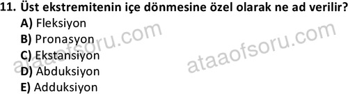 ata cocukgelisimlisans 1445 11