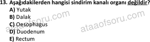 ata cocukgelisimlisans 1445 13