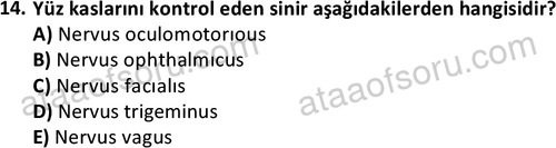 ata cocukgelisimlisans 1445 14