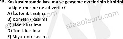 ata cocukgelisimlisans 1445 15