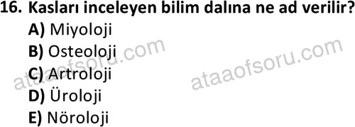 ata cocukgelisimlisans 1445 16