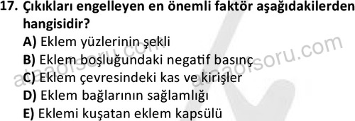 ata cocukgelisimlisans 1445 17