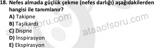 ata cocukgelisimlisans 1445 18