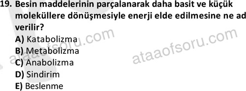 ata cocukgelisimlisans 1445 19