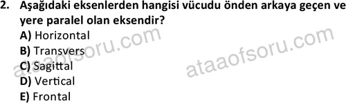 ata cocukgelisimlisans 1445 2