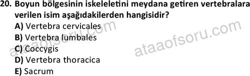 ata cocukgelisimlisans 1445 20