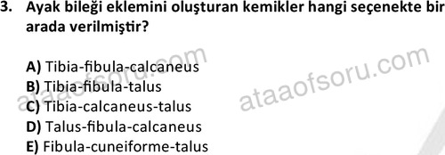 ata cocukgelisimlisans 1445 3