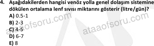ata cocukgelisimlisans 1445 4