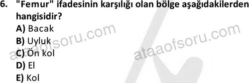 ata cocukgelisimlisans 1445 6