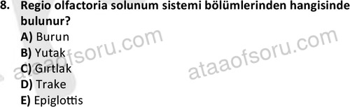 ata cocukgelisimlisans 1445 8