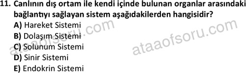 ata cocukgelisimlisans 1445 11