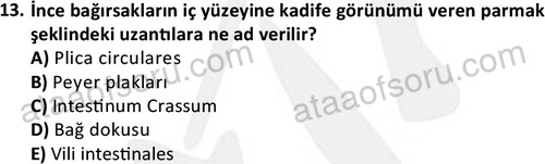 ata cocukgelisimlisans 1445 13
