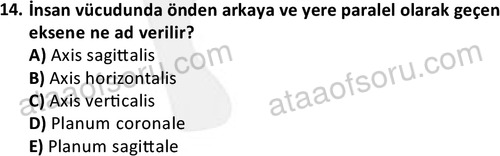 ata cocukgelisimlisans 1445 14