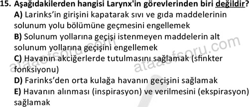 ata cocukgelisimlisans 1445 15