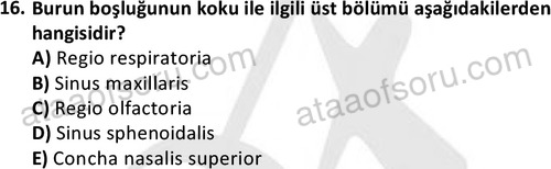 ata cocukgelisimlisans 1445 16